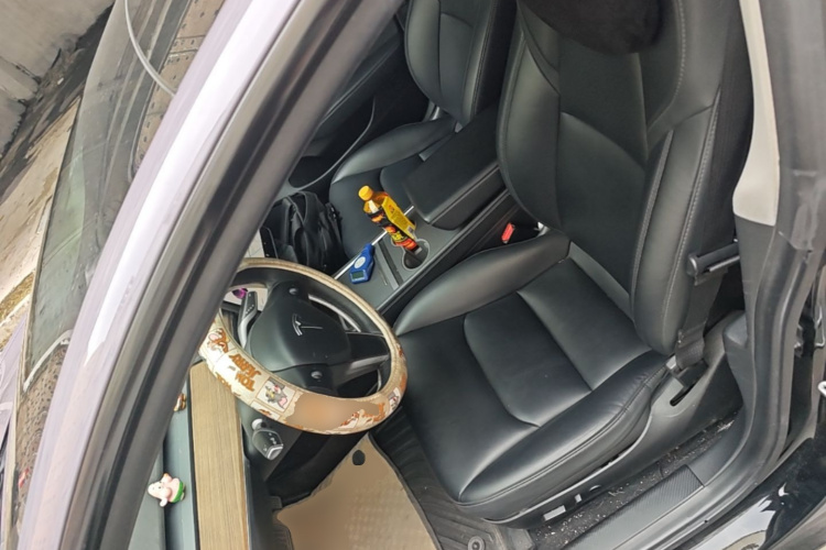 Tesla Model 3 2021 car image #15