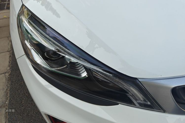 GEELY Emgrand GS 2020 #8 GEELY Emgrand GS 2020 car image #8