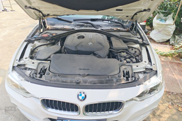 BMW 3 Series 2017 car image #22