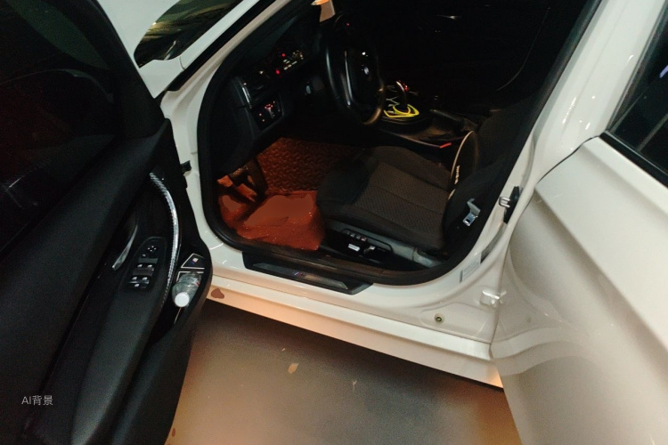 BMW 3 Series 2017 car image #18