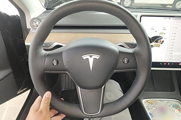 Tesla Model 3 2021 #11 Tesla Model 3 2021 car image #11