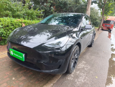 Tesla Model Y 2024 Tesla Model Y 2024 car image