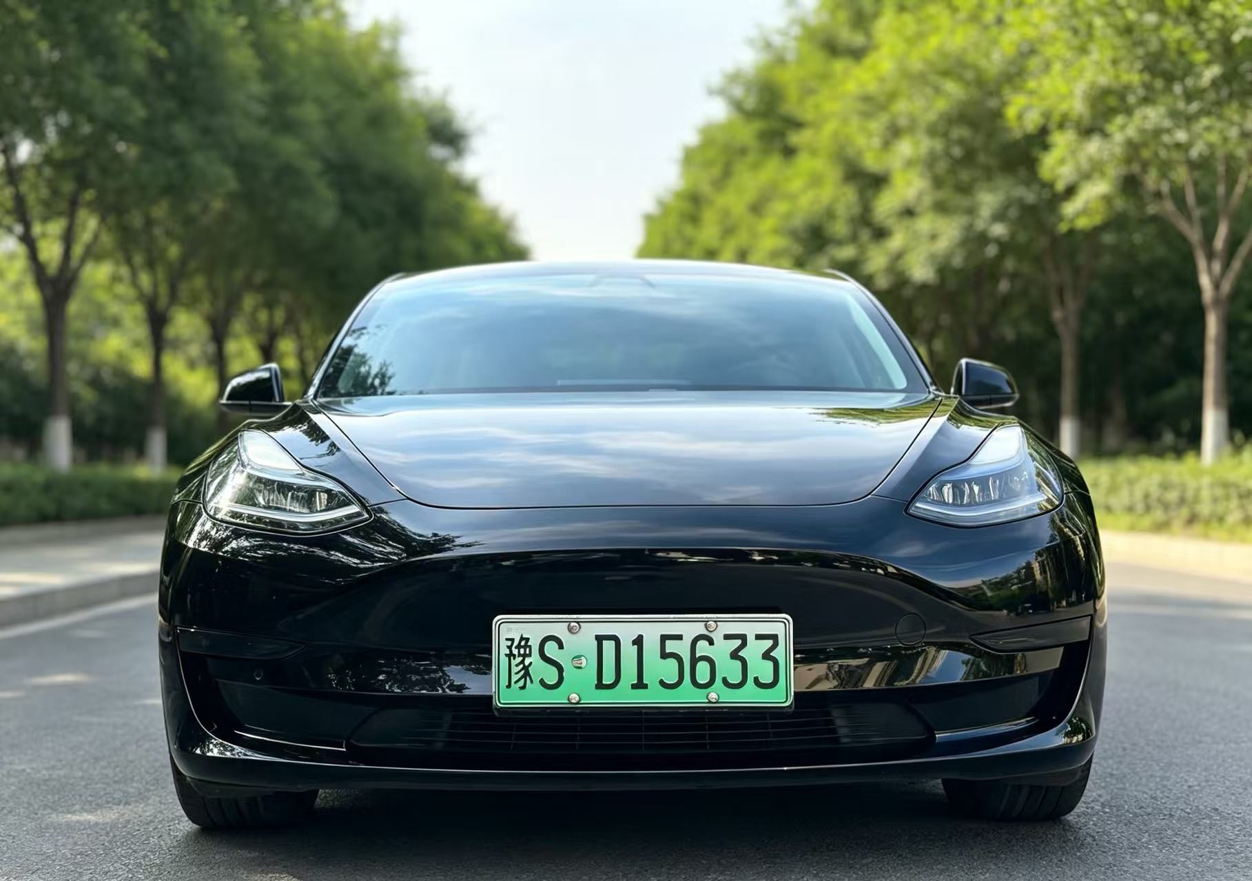 Tesla Model 3 2021 #3 Tesla Model 3 2021 car image #3