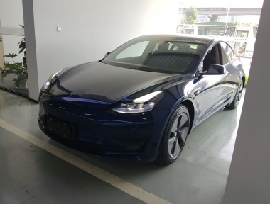 Tesla Model 3 2021 Tesla Model 3 2021 car image