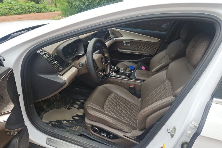 BYD Han 2022 car image #18