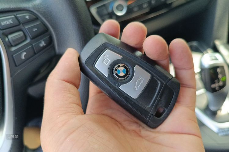 BMW 3 Series 2016 car image #10