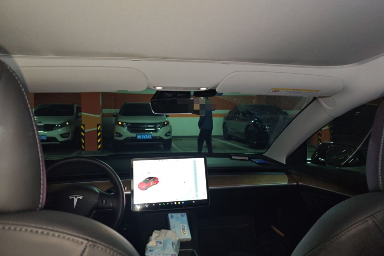 Tesla Model 3 2021 #20 Tesla Model 3 2021 car image #20