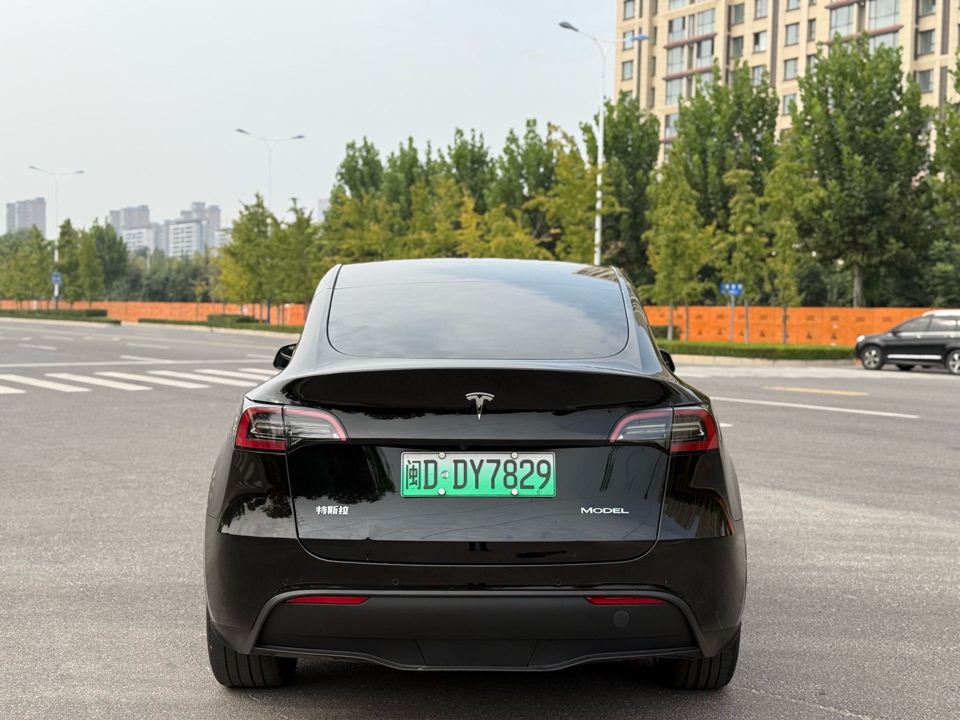 Tesla Model Y 2023 #2 Tesla Model Y 2023 صورة سيارة #2