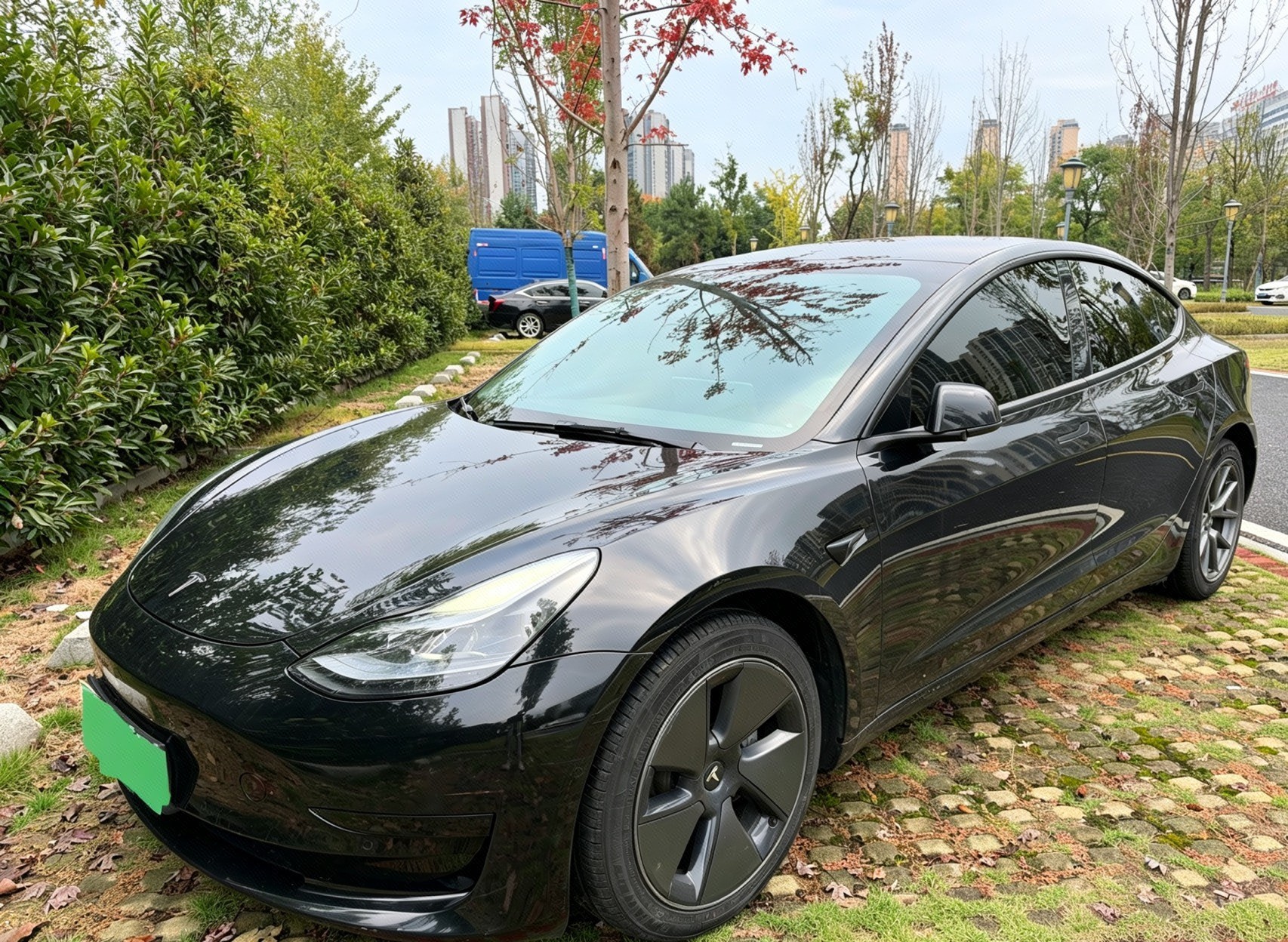 Tesla Model 3 2022 car image 