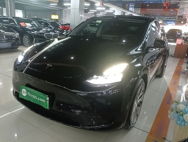 Tesla Model Y 2022 car image 