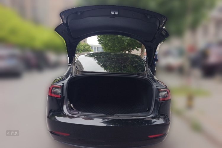 Tesla Model 3 2022 #21 Tesla Model 3 2022 car image #21