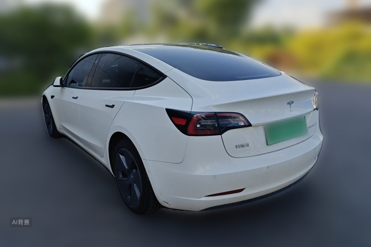 Tesla Model 3 2021 car image #5