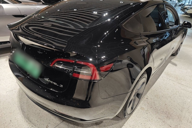 Tesla Model 3 2023 immagine di auto #7