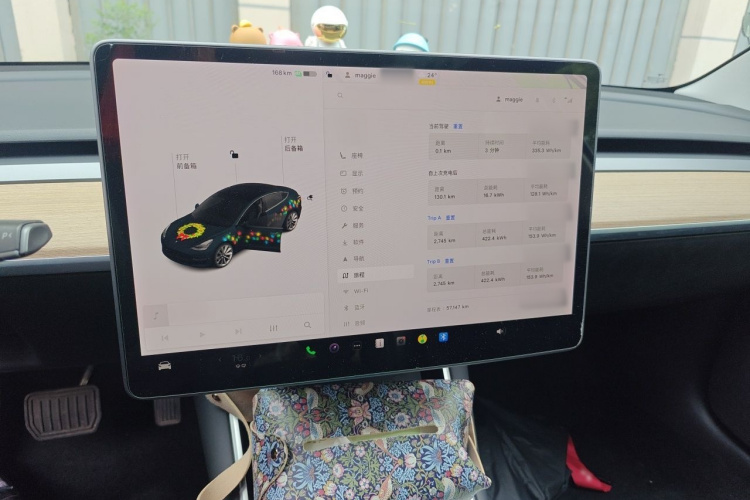 Tesla Model 3 2020 #16 Tesla Model 3 2020 car image #16