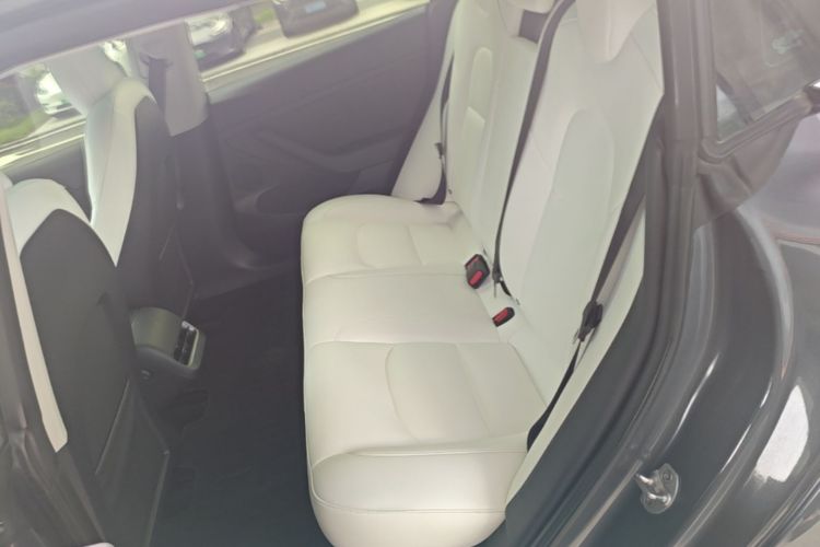 Tesla Model 3 2022 car image #13