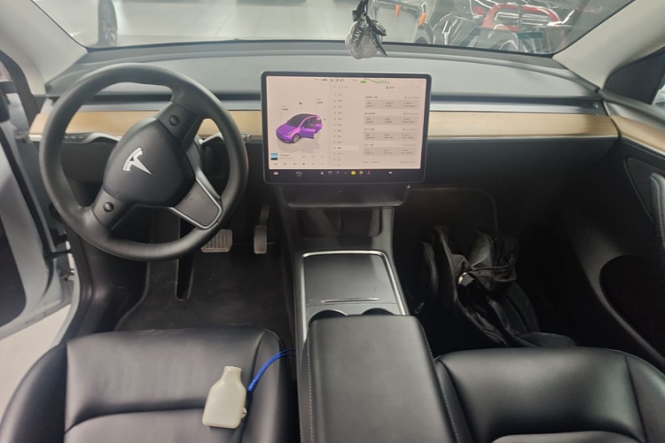 Tesla Model Y 2022 immagine di auto #10