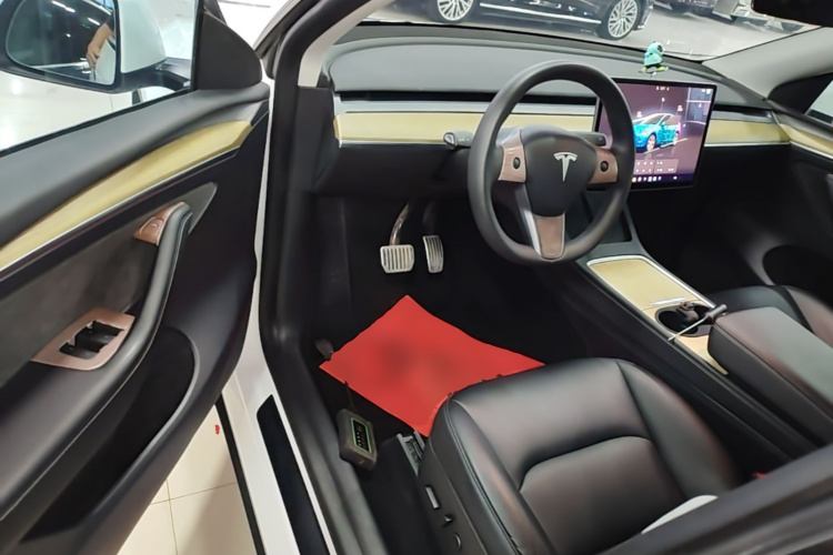 Tesla Model Y 2023 car image #16