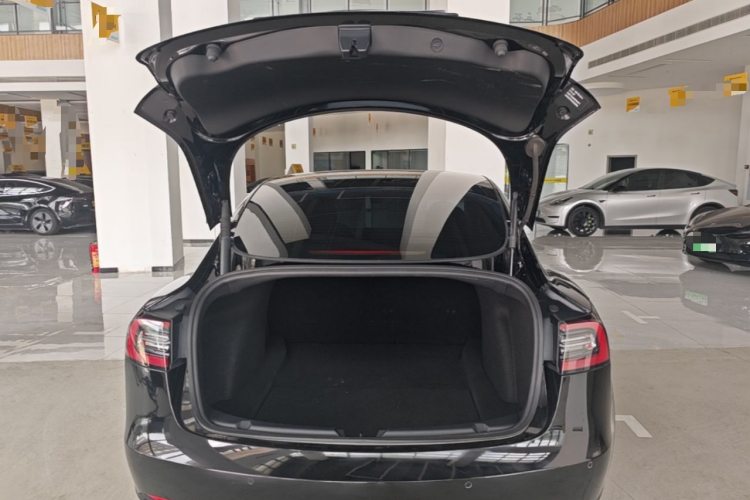 Tesla Model 3 2022 car image #19