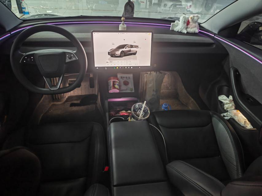 Tesla Model 3 2024 car image #9