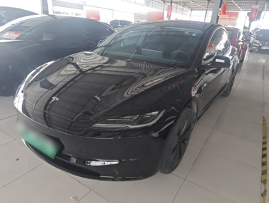 Tesla Model 3 2024 Tesla Model 3 2024 car image