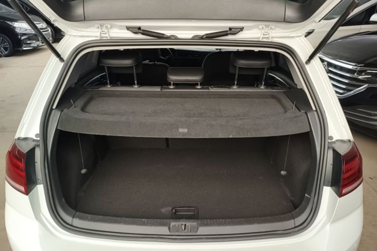 Volkswagen Golf 2019 car image #19