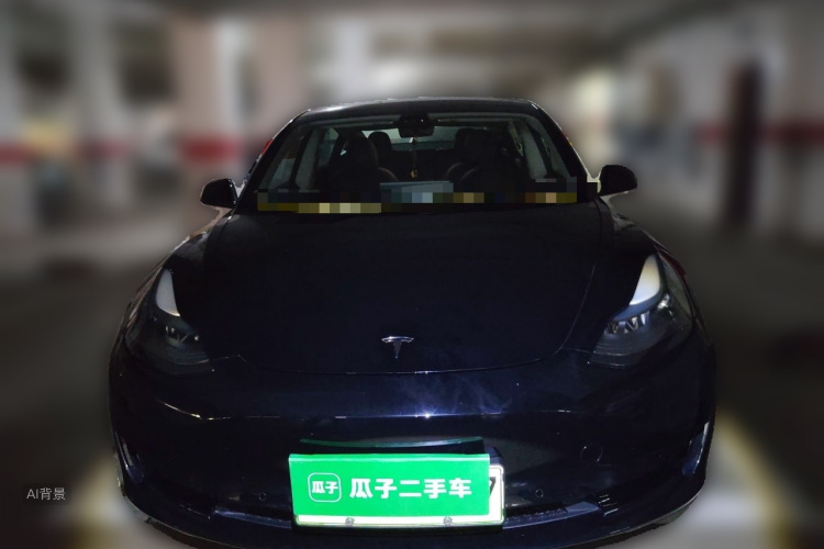 Tesla Model 3 2022 #3 Tesla Model 3 2022 car image #3