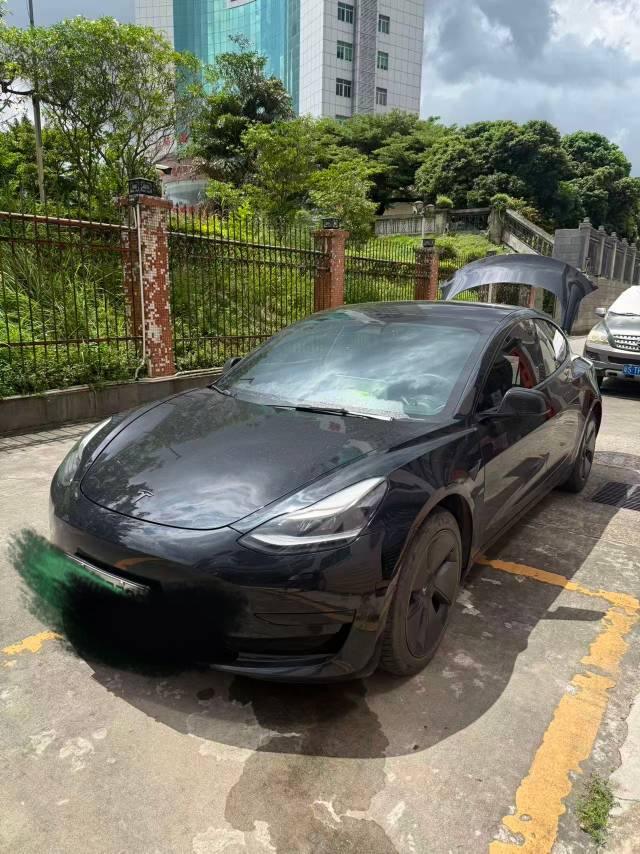 Tesla Model 3 2021 Tesla Model 3 2021 car image