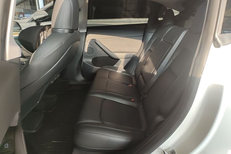 Tesla Model Y 2021 car image #17