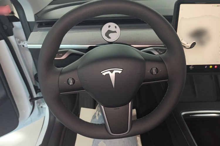 Tesla Model Y 2024 car image #12