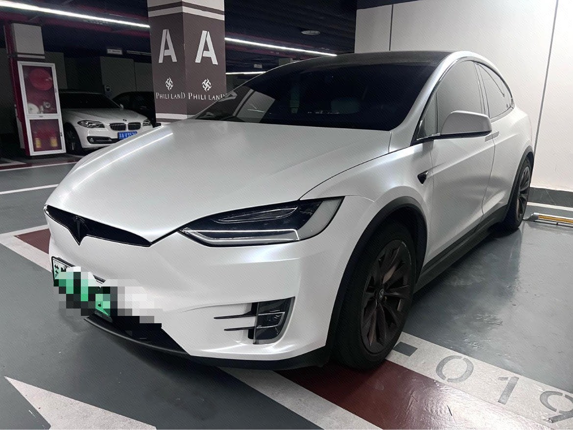 Tesla Model X 2017 Tesla Model X 2017 car image
