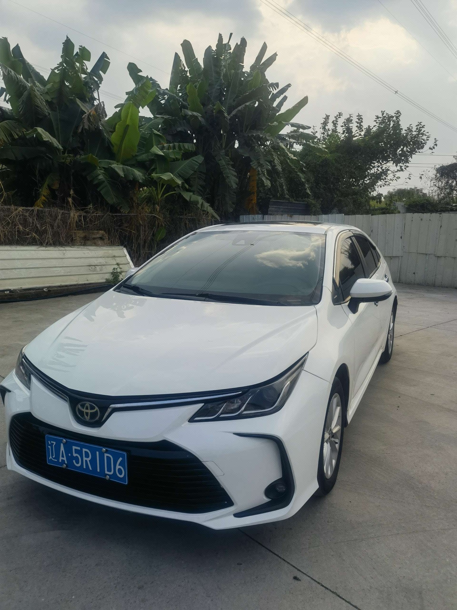 Toyota Corolla 2023 Toyota Corolla 2023 car image