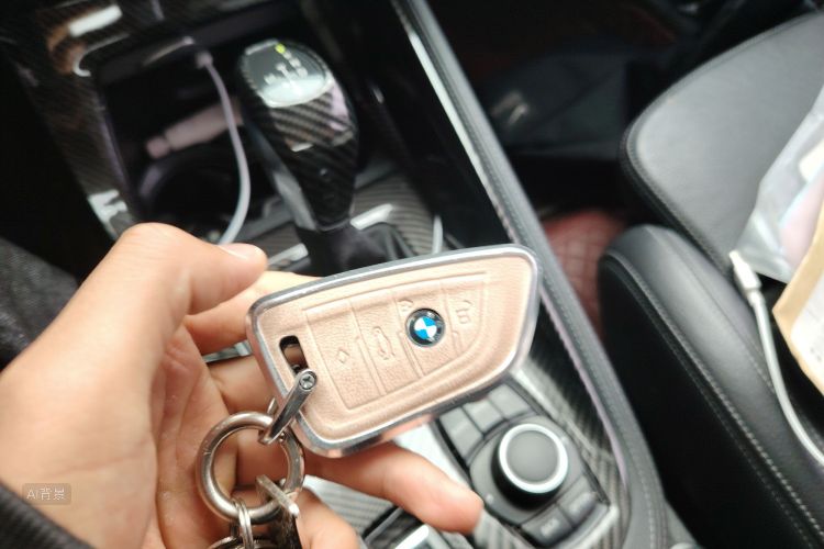 BMW X1 2017 car image #10