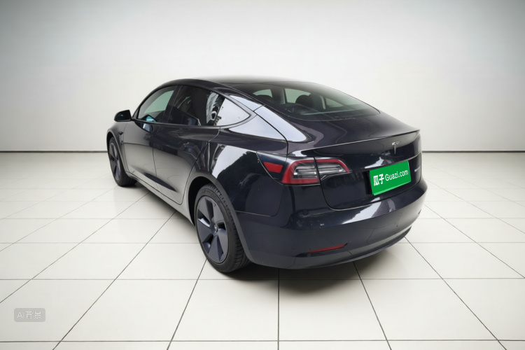 Tesla Model 3 2022 car image #5