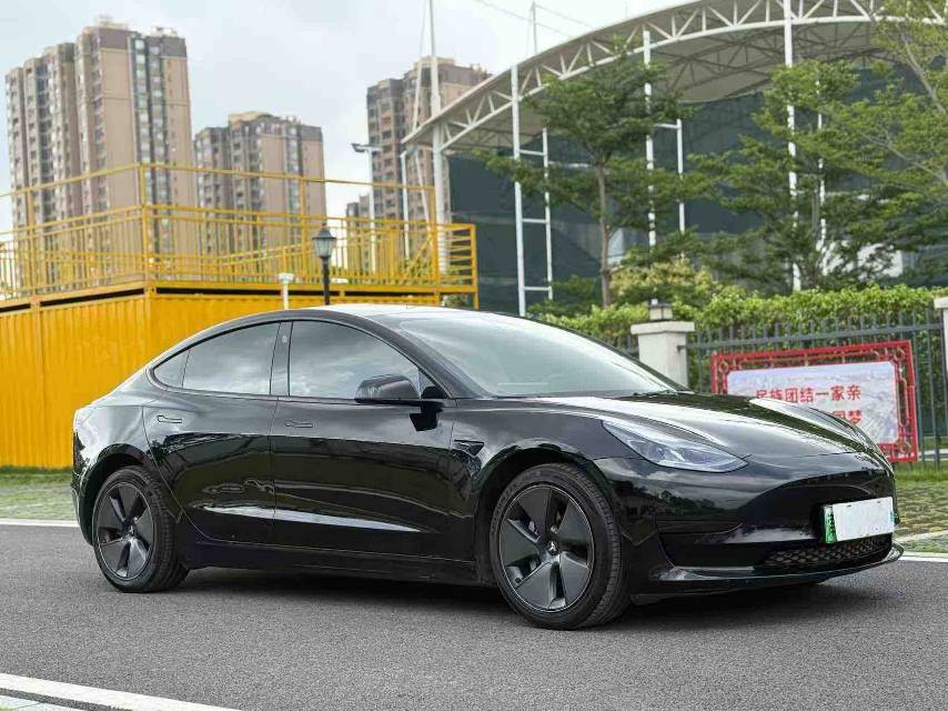 Tesla Model 3 2021 #5 Tesla Model 3 2021 car image #5