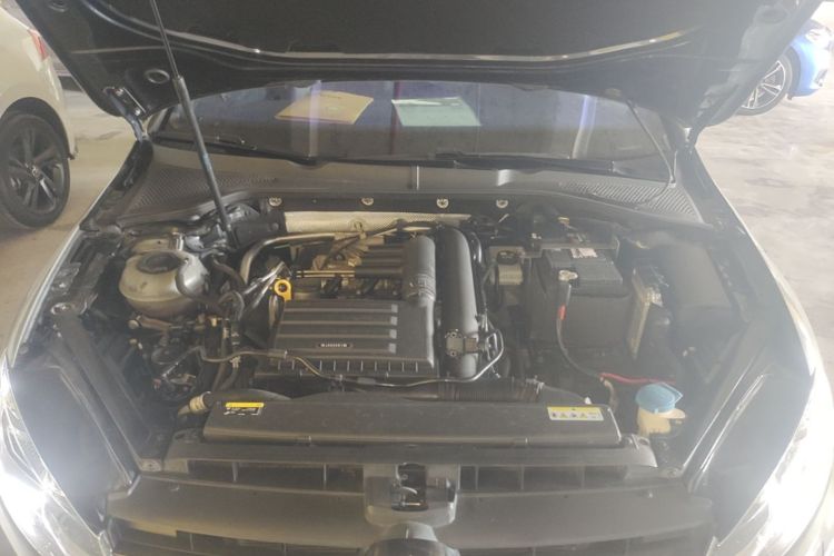 Volkswagen Golf 2020 car image #20