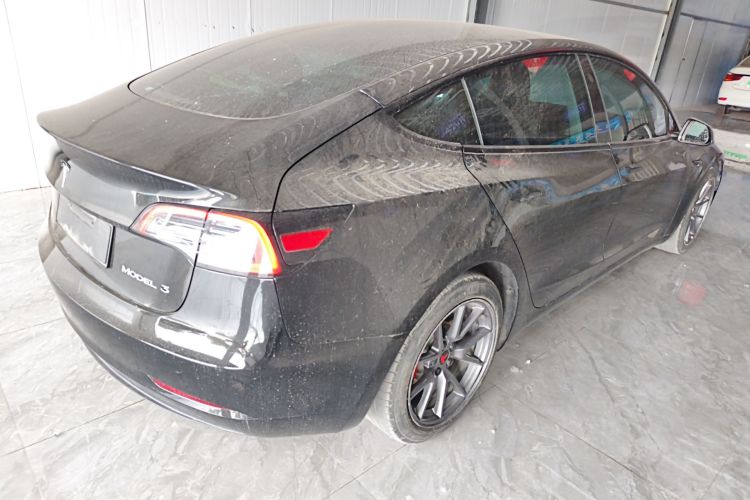 Tesla Model 3 2023 immagine di auto #5