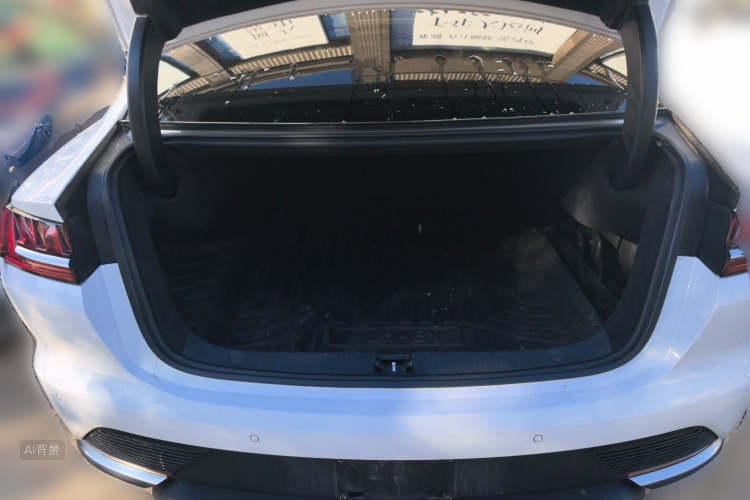 BYD Han 2020 #21 BYD Han 2020 immagine di auto #21