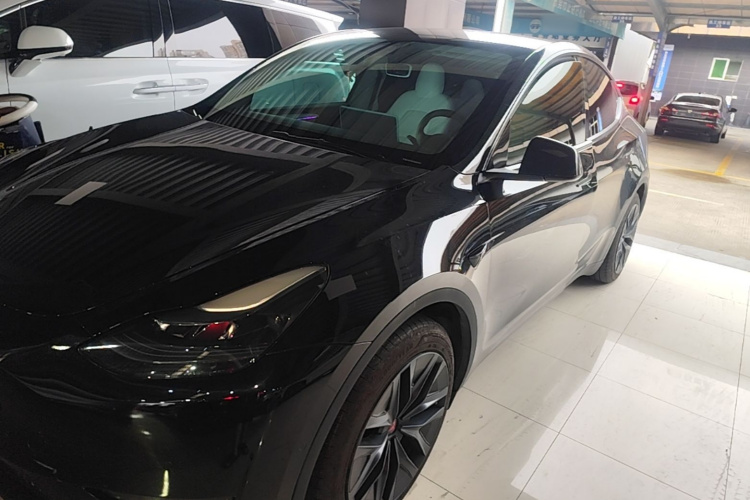 Tesla Model Y 2021 car image #2