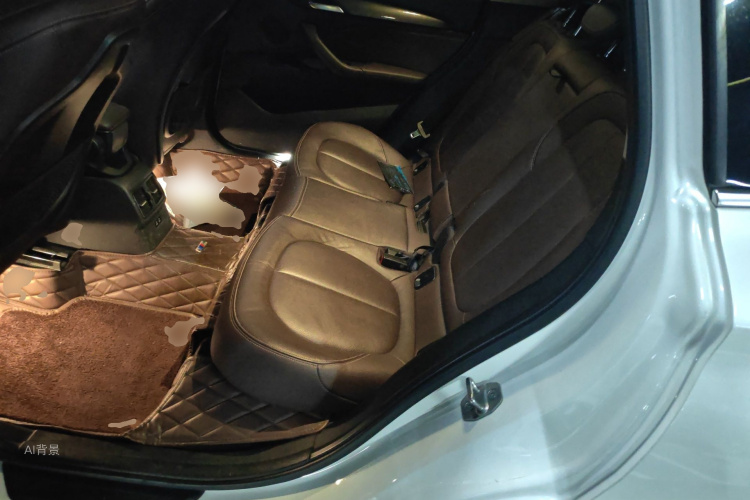 BMW X1 2019 car image #19