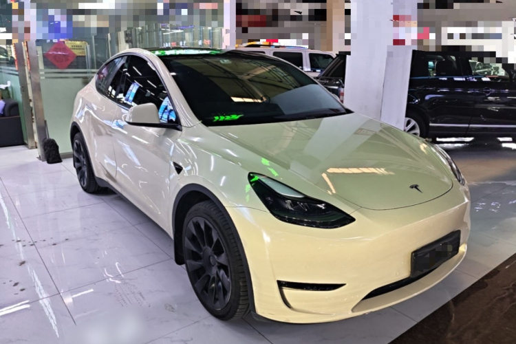 Tesla Model Y 2021 #6 Tesla Model Y 2021 car image #6
