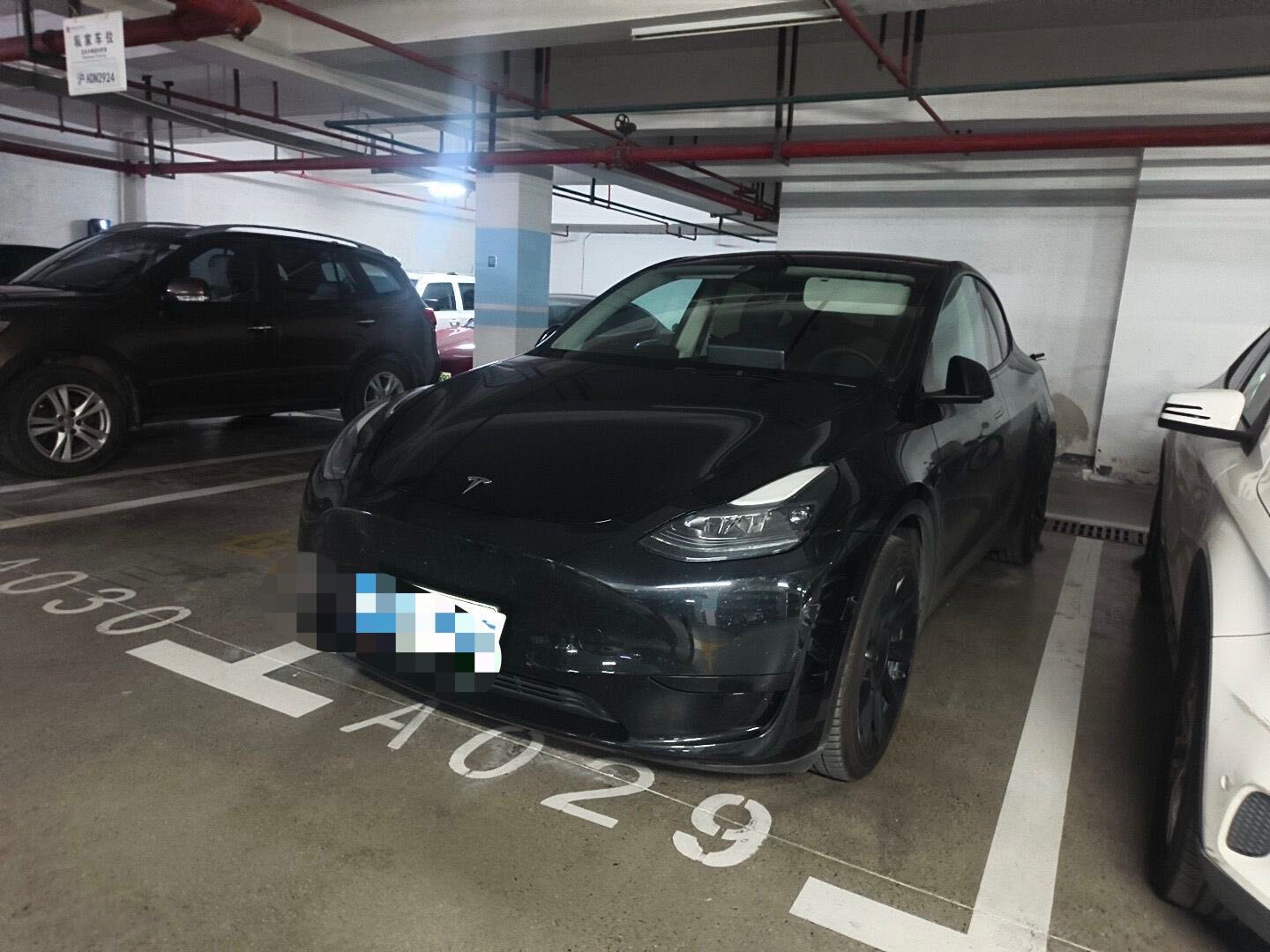 Tesla Model Y 2022 car image 