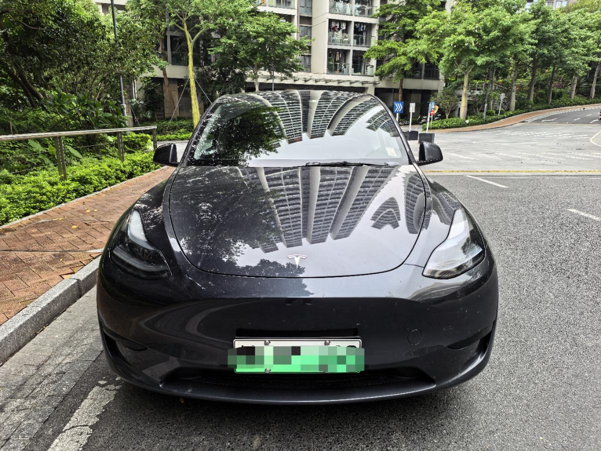 Tesla Model Y 2024 car image #2