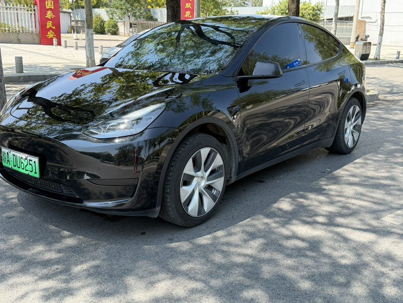 Tesla Model Y 2023 car image 