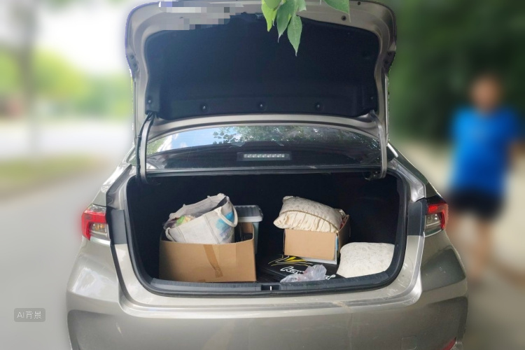 Toyota Corolla 2021 car image #21
