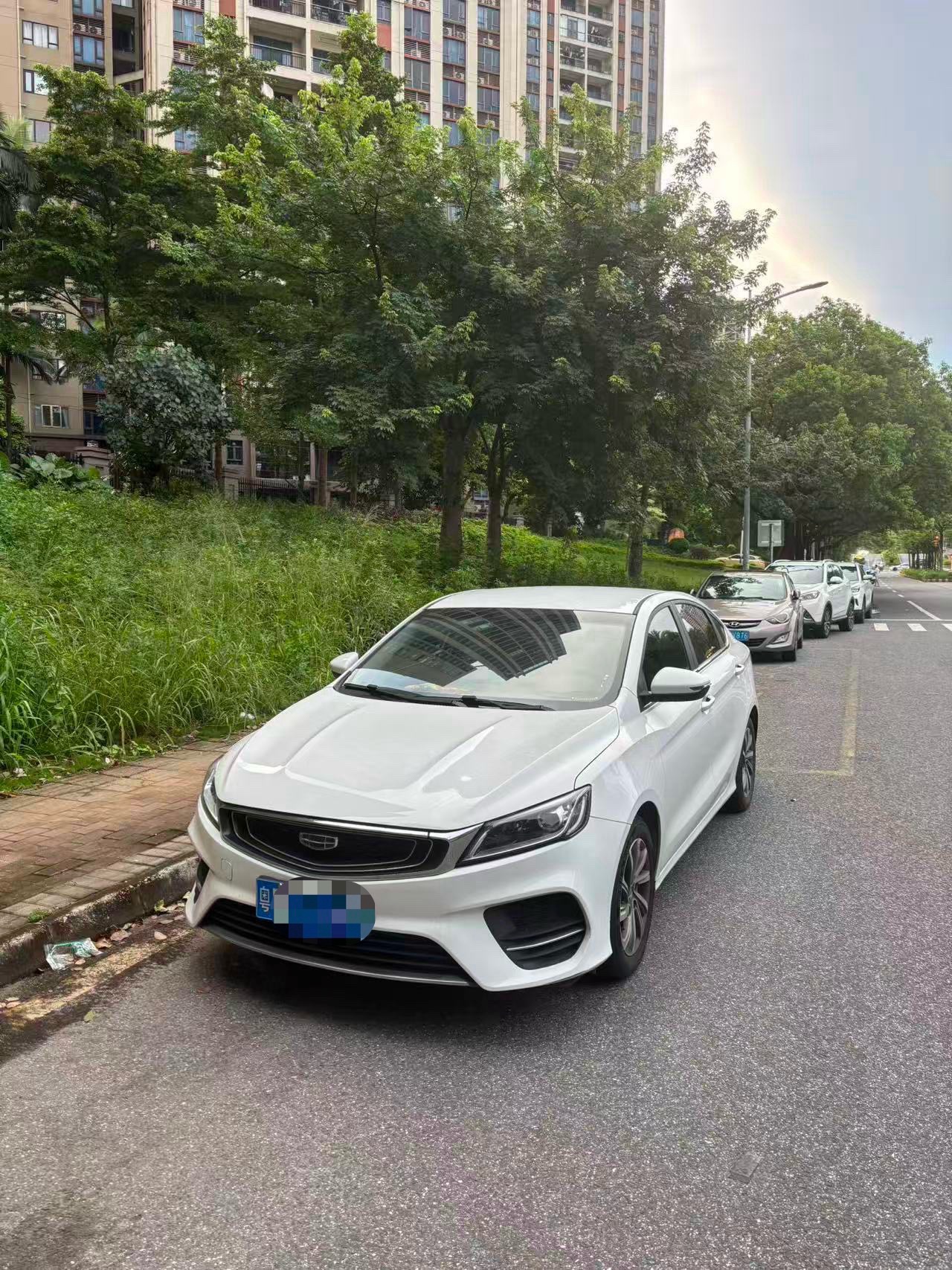 GEELY Binray 2020 GEELY Binray 2020 car image