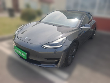 Tesla Model 3 2020 Tesla Model 3 2020 car image