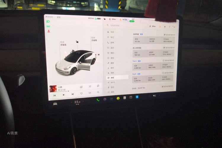 Tesla Model 3 2020 car image #15