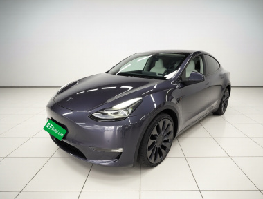 Tesla Model Y 2023 Tesla Model Y 2023 car image