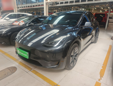 Tesla Model Y 2024 Tesla Model Y 2024 car image