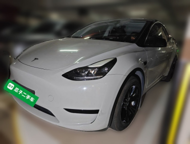Tesla Model Y 2022 Tesla Model Y 2022 car image